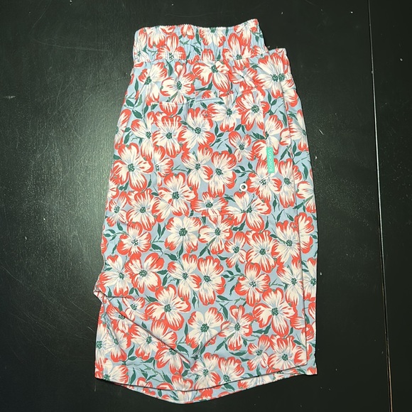 Bonobos Swim - Picture 2 of 3